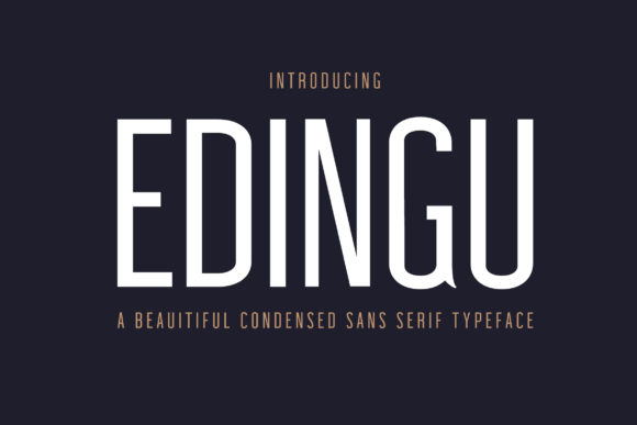 Edingu Family: The Sans Serif Typeface That Transforms Small Business Branding