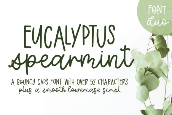 Eucalyptus Spearmint: The Modern Sans Serif for Scroll-Stopping Campaigns