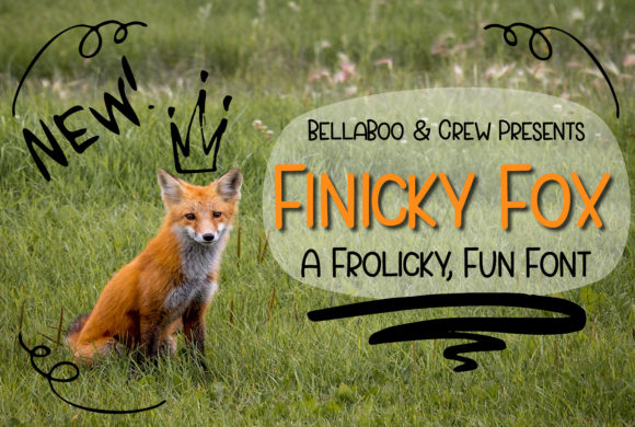Finicky Fox Typeface: A Playful Sans Serif for Digital Branding