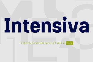 Intensiva Family: A Humanistic Sans Serif for Modern Branding