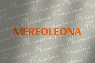 Mereoleona Duo: The Modern Sans Serif Typeface for Scroll-Stopping Design