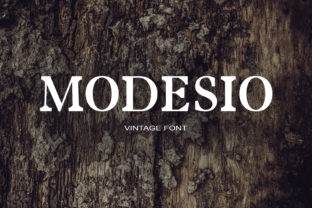 Modesio: A Unique Serif Font for Editorial Design and Publishing