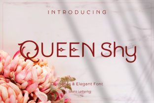 Queen Shy: The Elegant Sans Serif Typeface for Polished Brand Identity