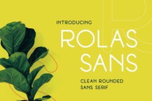 Rolas Sans: The Rounded Typeface That Elevates Brand Identity