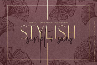 Stylish Duo Typeface Review: Elevating Digital Brand Identity